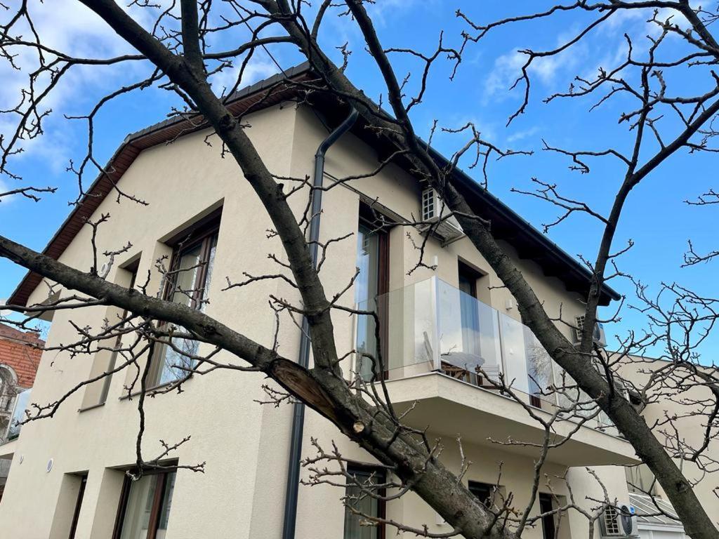 Nature In The City Lower Storey Bestern Seghedin Exterior foto